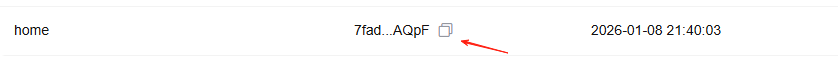 复制 API Key